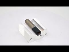 16P1642 planetary gear Coreless Motor