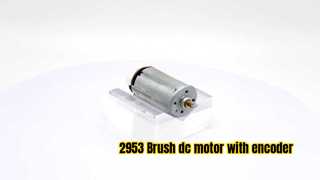 2953 Brush dc motor with encoder