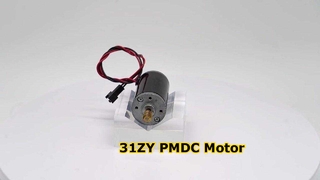31ZY PMDC Motor High Torque Long Life