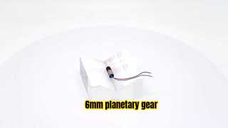 6mm Planetary gear motor