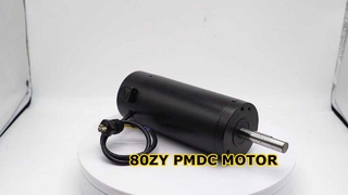 80ZY PMDC motor