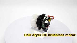 Hair dryer DC brushless motor with driver