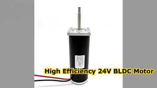 High Performance 24V BLDC Motor for Industrial Pumps