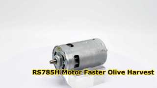 RS785H Olive Harvester Motor High Efficiency Replacement 1070311